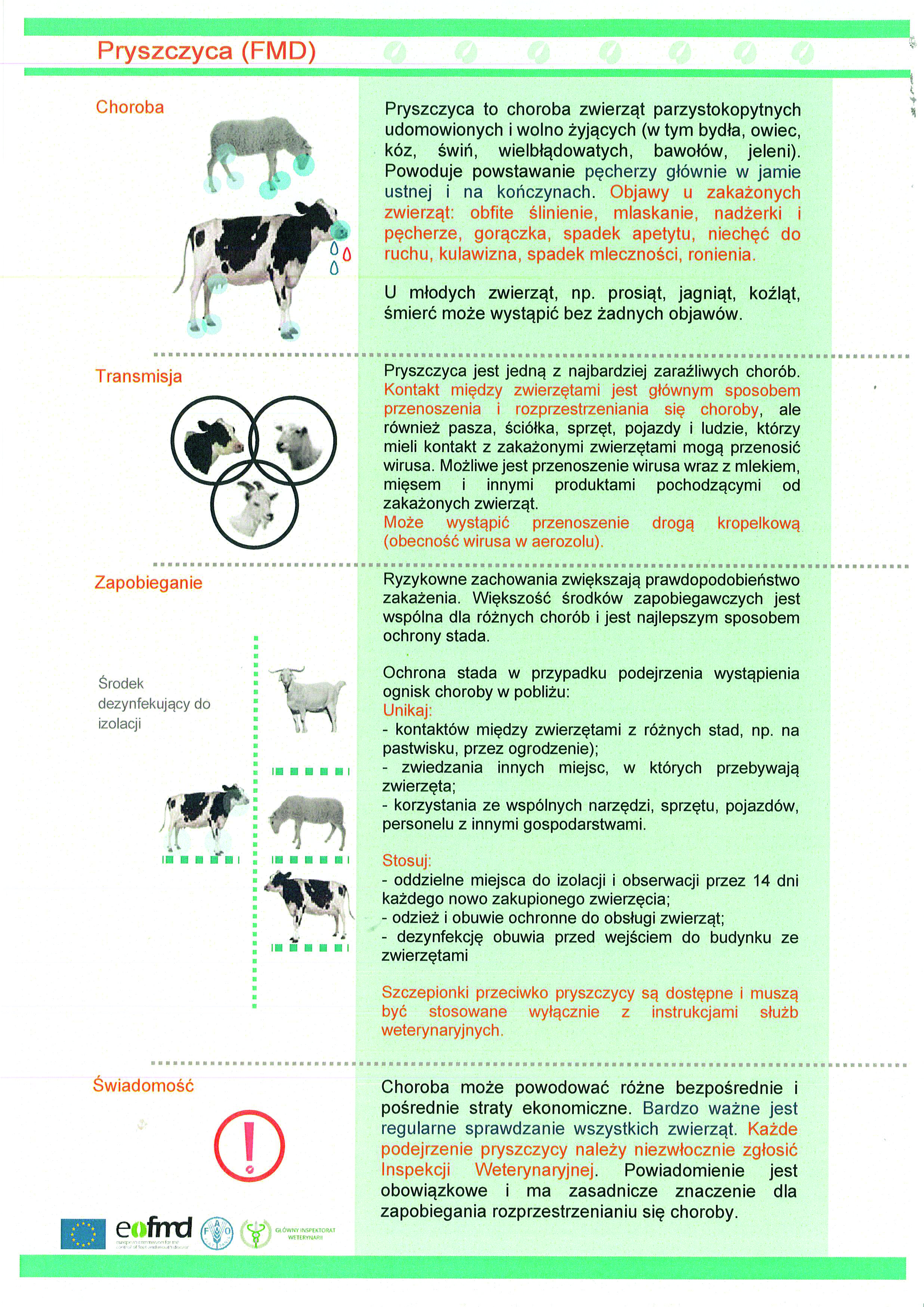 Pryszczyca_(FMD)