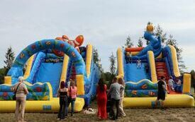 Udane Powiatowe Święto Rolnik&oacute;w w Moskorzewie 24