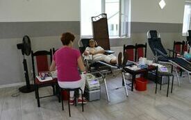 Udane Powiatowe Święto Rolnik&oacute;w w Moskorzewie 54