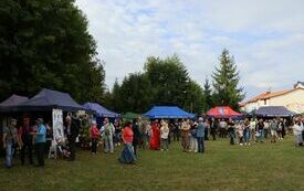 Udane Powiatowe Święto Rolnik&oacute;w w Moskorzewie 56