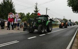 Udane Powiatowe Święto Rolnik&oacute;w w Moskorzewie 141