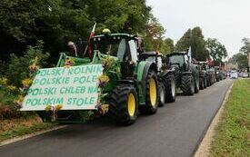 Udane Powiatowe Święto Rolnik&oacute;w w Moskorzewie 185