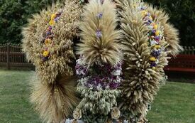 Udane Powiatowe Święto Rolnik&oacute;w w Moskorzewie 203