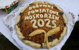 Udane Powiatowe Święto Rolnik&oacute;w w Moskorzewie 224