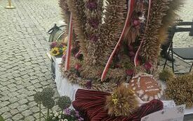 Wieniec z powiatu włoszczowskiego na dożynkach prezydenckich w Warszawie  18