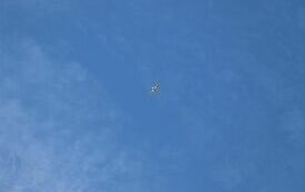 Udane I Dary Las&oacute;w Powiatu Włoszczowskiego  29