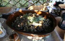 Udane I Dary Las&oacute;w Powiatu Włoszczowskiego  45