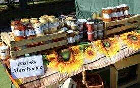 Udane I Dary Las&oacute;w Powiatu Włoszczowskiego  53