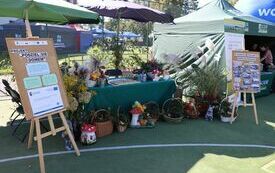 Udane I Dary Las&oacute;w Powiatu Włoszczowskiego  58