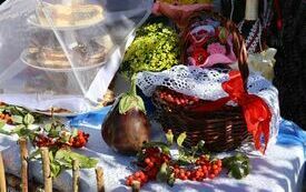 Udane I Dary Las&oacute;w Powiatu Włoszczowskiego  62