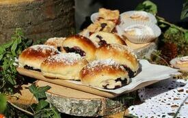 Udane I Dary Las&oacute;w Powiatu Włoszczowskiego  70