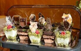 Udane I Dary Las&oacute;w Powiatu Włoszczowskiego  72