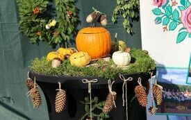 Udane I Dary Las&oacute;w Powiatu Włoszczowskiego  76