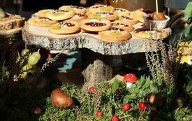 Udane I Dary Las&oacute;w Powiatu Włoszczowskiego  79