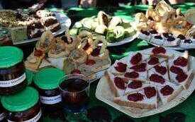 Udane I Dary Las&oacute;w Powiatu Włoszczowskiego  85