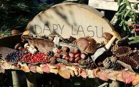 Udane I Dary Las&oacute;w Powiatu Włoszczowskiego  86