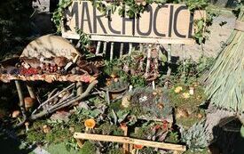 Udane I Dary Las&oacute;w Powiatu Włoszczowskiego  87