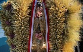 Udane I Dary Las&oacute;w Powiatu Włoszczowskiego  89