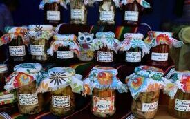 Udane I Dary Las&oacute;w Powiatu Włoszczowskiego  91