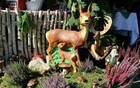 Udane I Dary Las&oacute;w Powiatu Włoszczowskiego  97