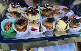 Udane I Dary Las&oacute;w Powiatu Włoszczowskiego  100