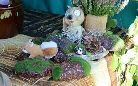 Udane I Dary Las&oacute;w Powiatu Włoszczowskiego  101