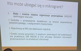 Środki na lokalne inicjatywy &ndash; organizacje z powiatu gotowe do działania 1