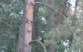 Pod namiotami uczestnicy uroczystości.