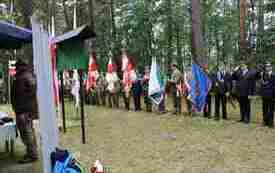 Poczty sztandarowe stoją wzdłuż ściany lasu na Pękowcu.