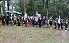 Poczty sztandarowe stoją wzdłuż ściany lasu na Pękowcu.