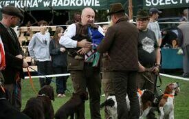 Burmistrz wręcza nagrodę właścicielowi jamnika szorstkowłosego, kt&oacute;ry wygrał wystawę ps&oacute;w myśliwskich