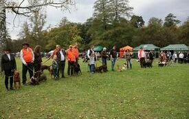 Psy myśliwskie biorące udział w wystawie ps&oacute;w mysliwskich oraz ich właściciele 