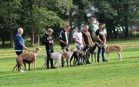 Właściciele chart&oacute;w prezentują swoje psy