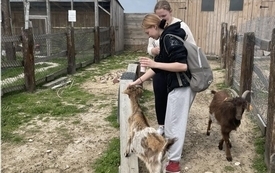 Młodzież z mieszkańcami mini zoo Alpaki TuluTulu