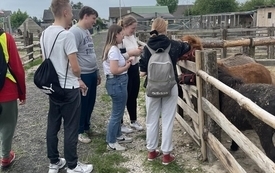 Młodzież z mieszkańcami mini zoo Alpaki TuluTulu