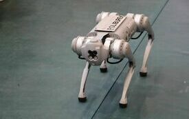 Poliburek - robot przypominający psa, kt&oacute;rego skonstruowali studenci Politechniki Świętokrzyskiej