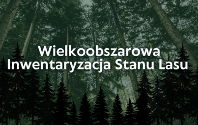 Zdjęcie do Informacja dot. wykonywania Wielkoobszarowej Inwentaryzacji Stanu Lasu