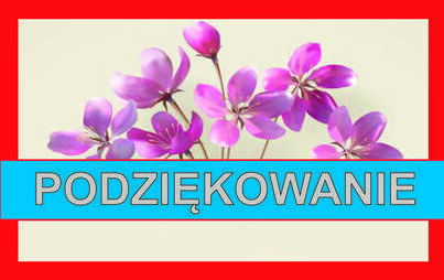 Zdjęcie do Podziękowanie Sponsorom XXII Dożynek Powiatowych w Moskorzewie