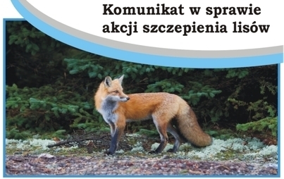 Zdjęcie do Komunikat Świętokrzyskiego Wojew&oacute;dzkiego Lekarza Weterynarii