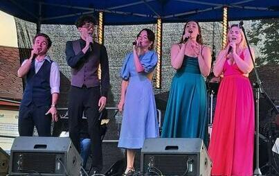 Zdjęcie do Udany koncert musicalowy w PCK-R